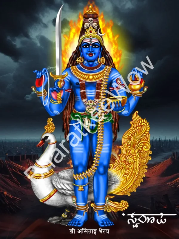 Asitāṅga Bhairava canvas painting by Swaroop – blue, three-eyed, riding a swan with Brāhmī, first of the Aṣṭa Bhairavas